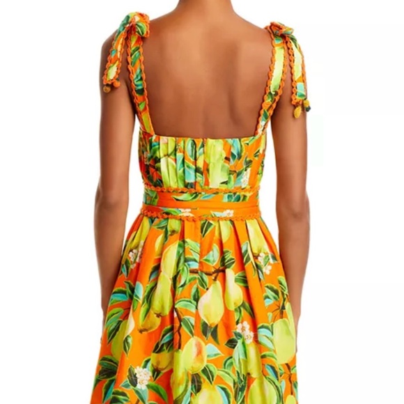 FARM Rio Organic chic pears organic cotton mini dress - Picture 2 of 6